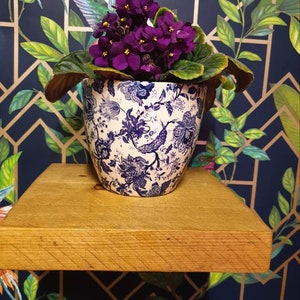 K&ouml;nnte beinhalten: Eine kleine Topfpflanze mit lila Bl&uuml;ten in einem wei&szlig;en und blauen, floral gemusterten Keramiktopf. Der Topf steht auf einem Holzregal vor einem dunkelblauen Hintergrund mit einem goldenen geometrischen Muster.