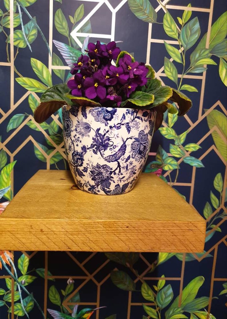 K&ouml;nnte beinhalten: Eine kleine Topfpflanze mit lila Bl&uuml;ten in einem wei&szlig;en und blauen, floral gemusterten Keramiktopf. Der Topf steht auf einem Holzregal vor einem dunkelblauen Hintergrund mit einem goldenen geometrischen Muster.