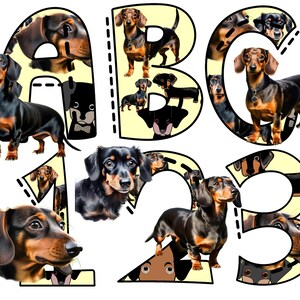 Alfabeto de perro salchicha png, fuentes para perros, amantes de los perros salchichas, letras pdf, pegatinas, imágenes prediseñadas de fuentes, letras png, números de garabatos, sublimación de perros
