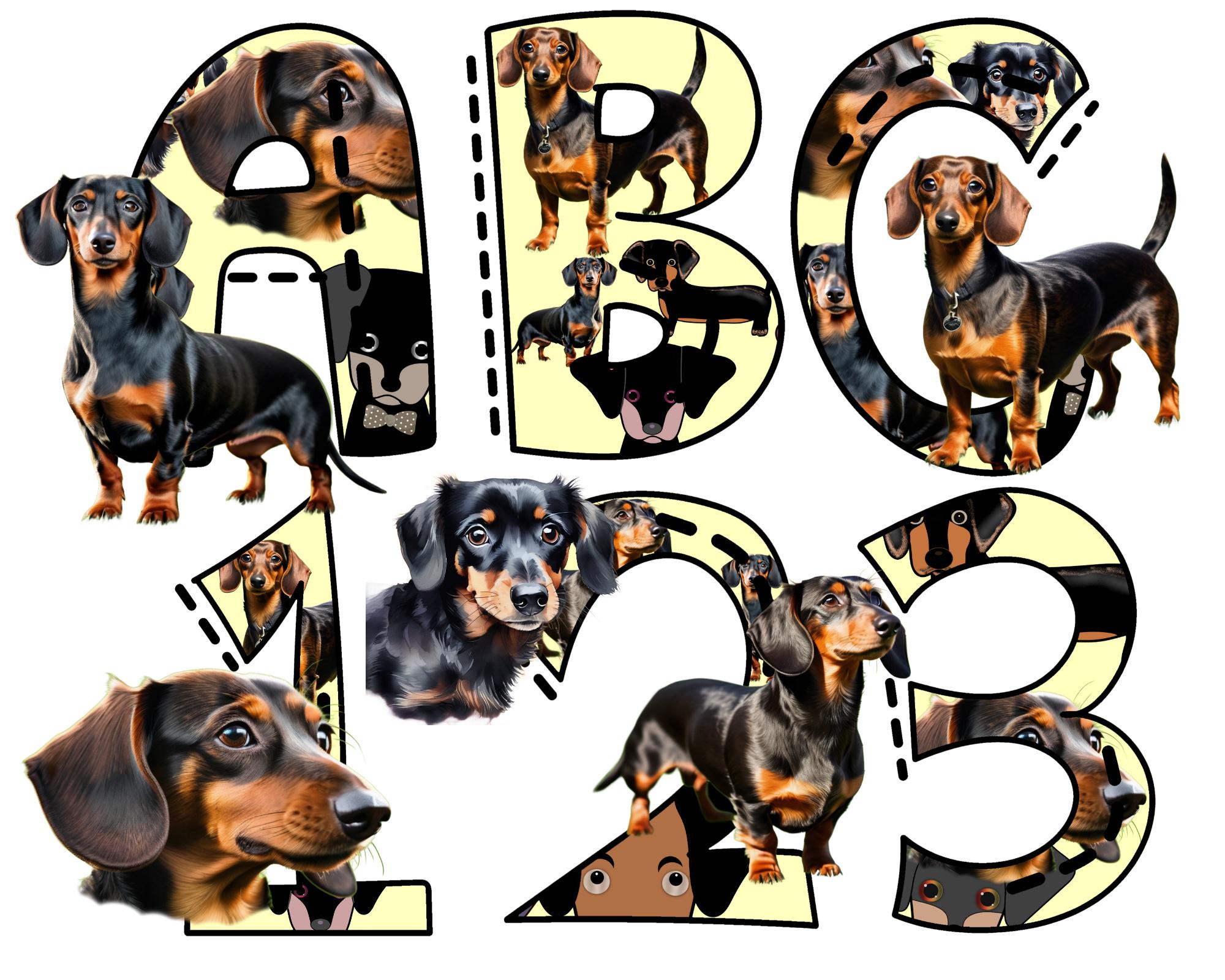 Dachshund Alphabet Png, Dog Fonts, Dachshund Lovers, Letter Pdf ...
