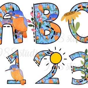 Letras de pájaros png, imágenes prediseñadas del alfabeto del martín pescador, fuentes de pájaros, sublimación de letras de garabato, decoración de fuentes, imágenes prediseñadas de pájaros, arte de primavera, png de otoño