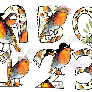 Fuentes de pájaros Robin png, imágenes prediseñadas del alfabeto Robin, fuentes de pájaros, sublimación de letras de garabatos, decoración de fuentes de verano, arte de primavera, letras de otoño