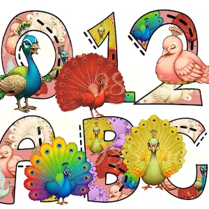 Fuentes de pavo real, fuente ornamental, imágenes prediseñadas de números, sublimación de pavo real, letras de pájaro, alfabeto colorido, letras imprimibles, números lindos