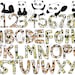 Panda Alphabet, Bear Fonts, Doodle Alphabet, Animal Alphabet Png, Pdf ...