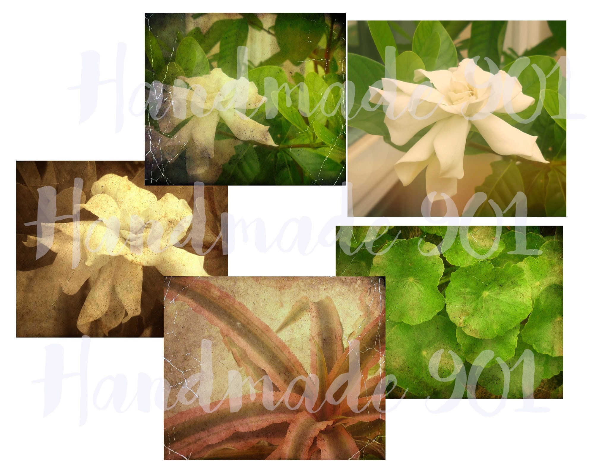 Png Hintergrund - Hochzeit Aquarell Blumen Blumendekoration Rahmen ... : However you can get the transparency by saving rendered data with two different background colors (white and black for example.