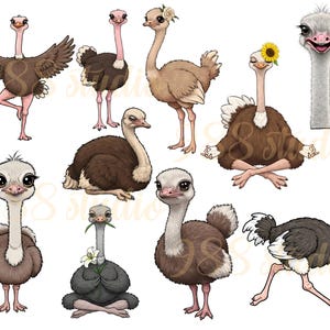Ostrich clip art, bird sublimation, ostrich character PDF, PNG, birds art, funny bird printable, bird bundle art