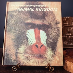 May include: A vintage book titled "The Illustrated Encyclopedia of the ANIMAL KINGDOM" featuring a close-up of a baboon's face. The book is displayed on a decorative brass stand, with a dark background.