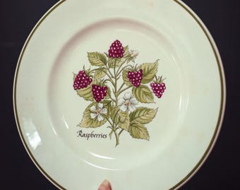 Tiffany's Staffordshire Fruit Plates *Select from Dropdown - Vintage Collectible Plates