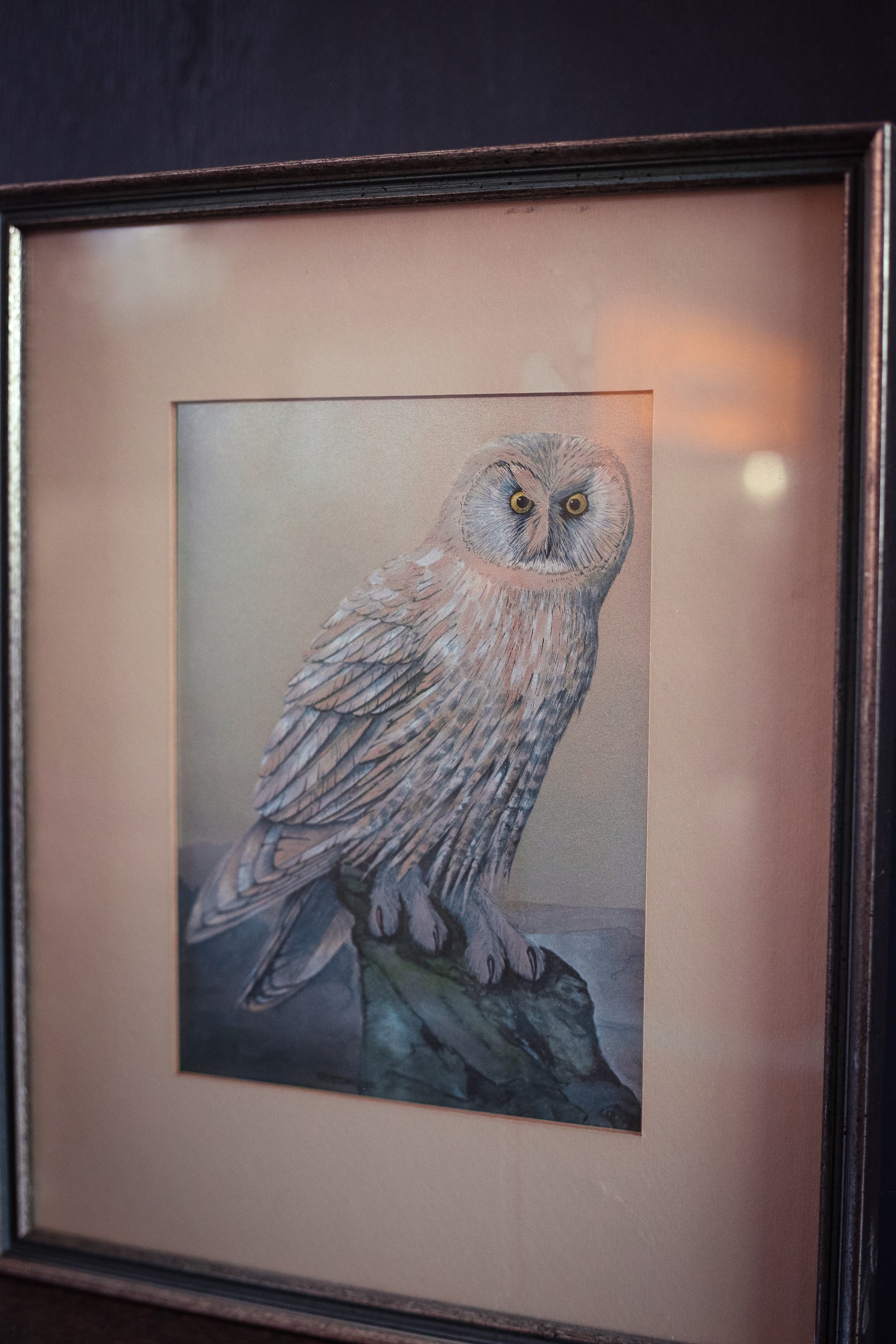 Silver Framed Metallic Owl Art Vintage Framed Owl Print With - Etsy