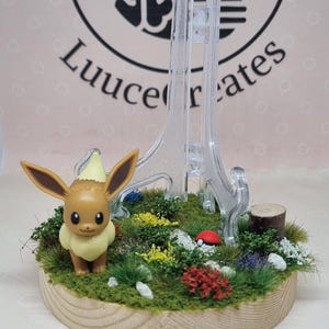 Expositor de cartas Pokémon Eevee, suporte para cartas classificadas, porta-cartas TCG, estilo terrário