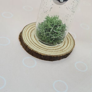 May include: A clear glass vial with a red and white charm resembling a Pok&eacute; Ball, suspended in a glitter-filled liquid. The vial rests on a wooden slice, with green moss at the bottom. The background is a light pink surface.