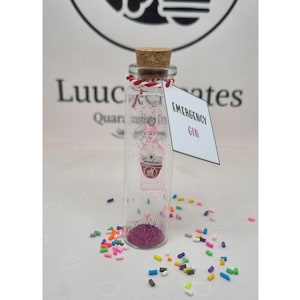 Emergency Pink Gin Alcohol Funny Gift for Her Adult Joke Present Pub Room Decor