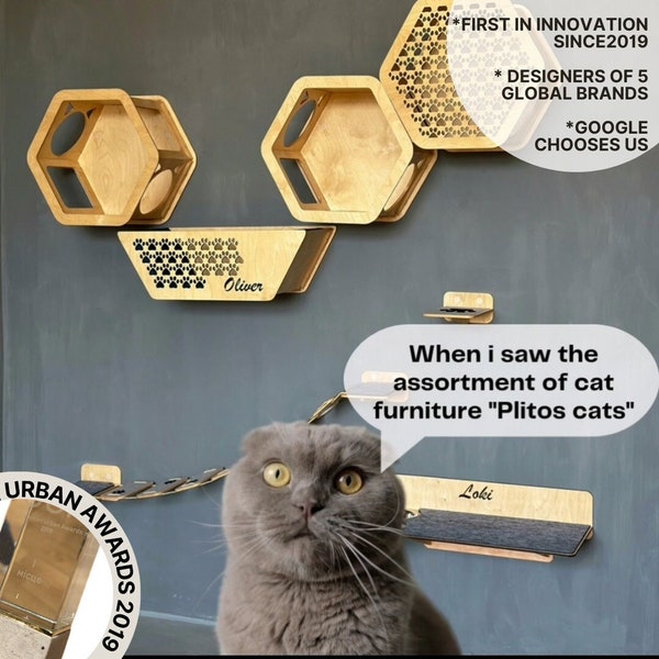 Cat climbing wall with hexagonal shelf, new home gift for cat lover, wood floating set of cat shelves