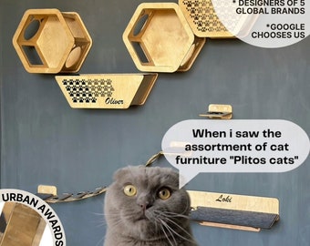 Cat climbing wall with hexagonal shelf, new home gift for cat lover, wood floating set of cat shelves