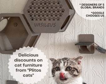 Floating wooden hexagonal shelves and bridge for large cat, big furniture set for indoor cat tree, play furniture as cat lovers gift