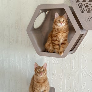 Honeycomb cat wall shelves for large cat, wooden indoor cat climbing furniture, housewarming gift for cat lover image 4