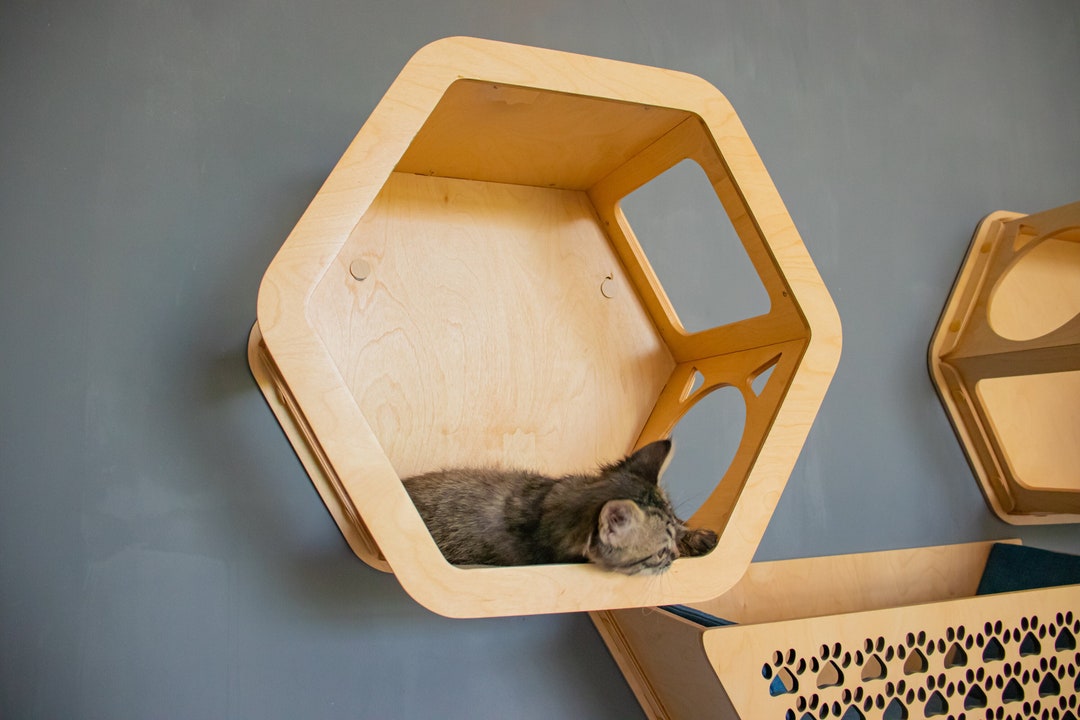 Cat Set for Wall, Cat Hexagon Shelf, Cat Step, Cat House Etsy