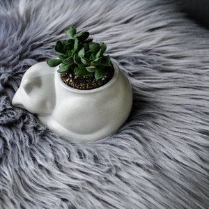 Cat planter pot Murrkos, cat figure eco friendly pot for small plants, concrete animal planter pot, succulent lovers gift for housewarming White