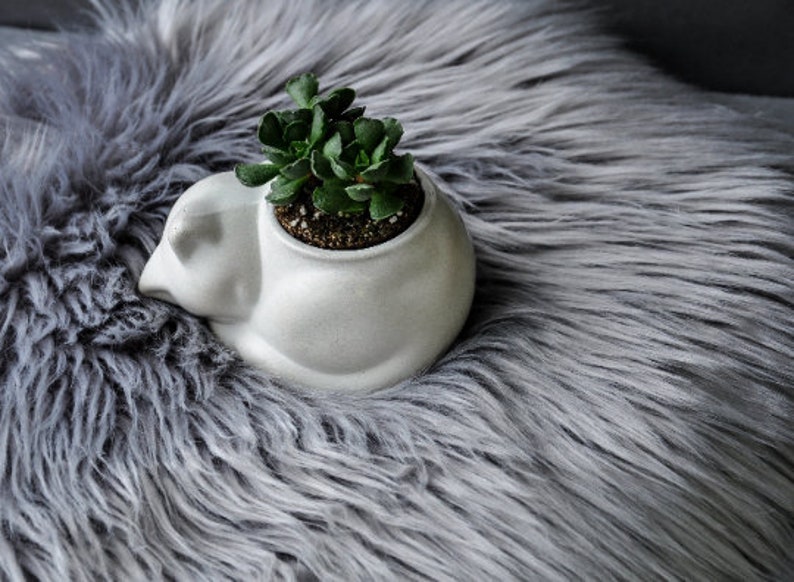 Cat planter pot Murrkos, cat figure eco friendly pot for small plants, concrete animal planter pot, succulent lovers gift for housewarming White