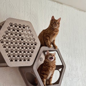 Honeycomb cat wall shelves for large cat, wooden indoor cat climbing furniture, housewarming gift for cat lover 1 open +1 closed