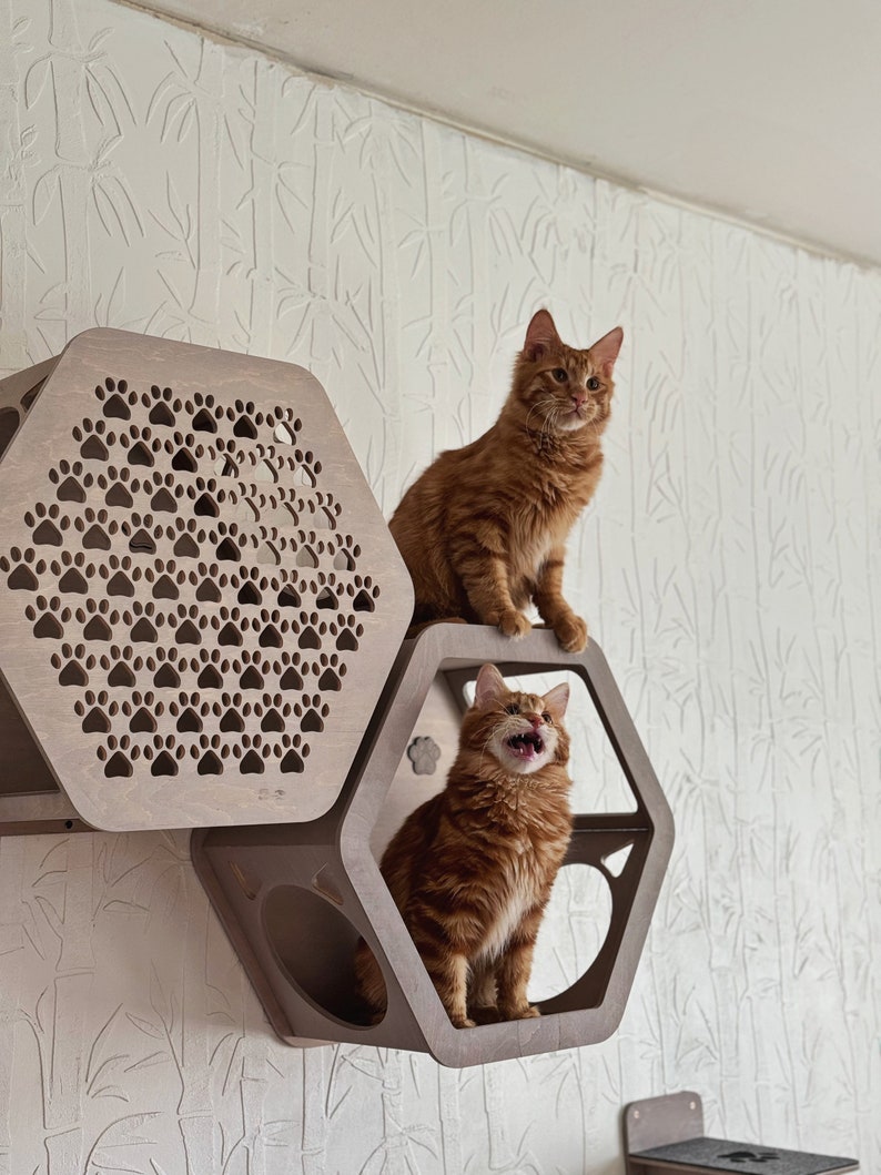 Honeycomb cat wall shelves for large cat, wooden indoor cat climbing furniture, housewarming gift for cat lover 1 open +1 closed