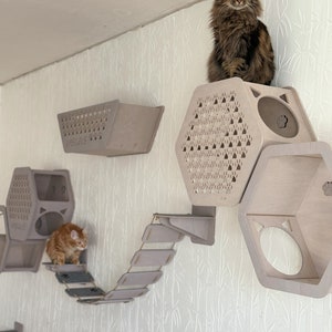 Honeycomb cat wall shelves for large cat, wooden indoor cat climbing furniture, housewarming gift for cat lover 2 open + 1 closed
