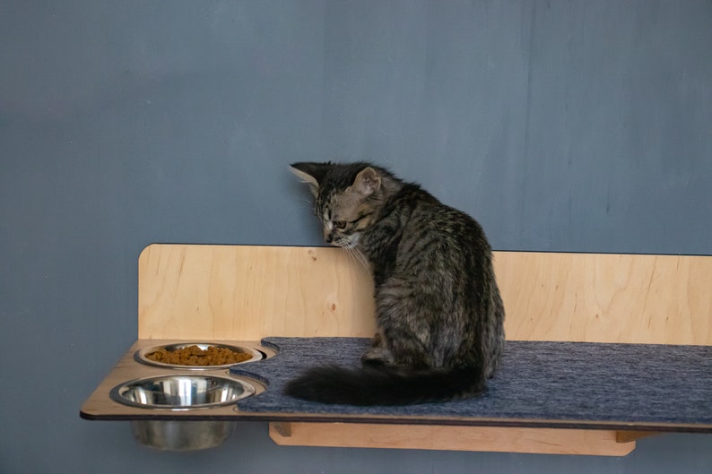 Cat Feeder, Cat Shelf, Cat Wall Bed, Cat Food Shelf Etsy