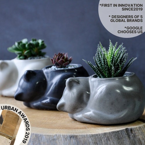 Cat planter pot "Murrkos", cat figure eco friendly pot for small plants, concrete animal planter pot, succulent lovers gift for housewarming