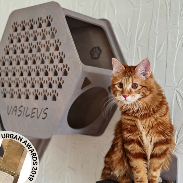 Personalization on wood cat wall shelves, named wooden house for big kitty