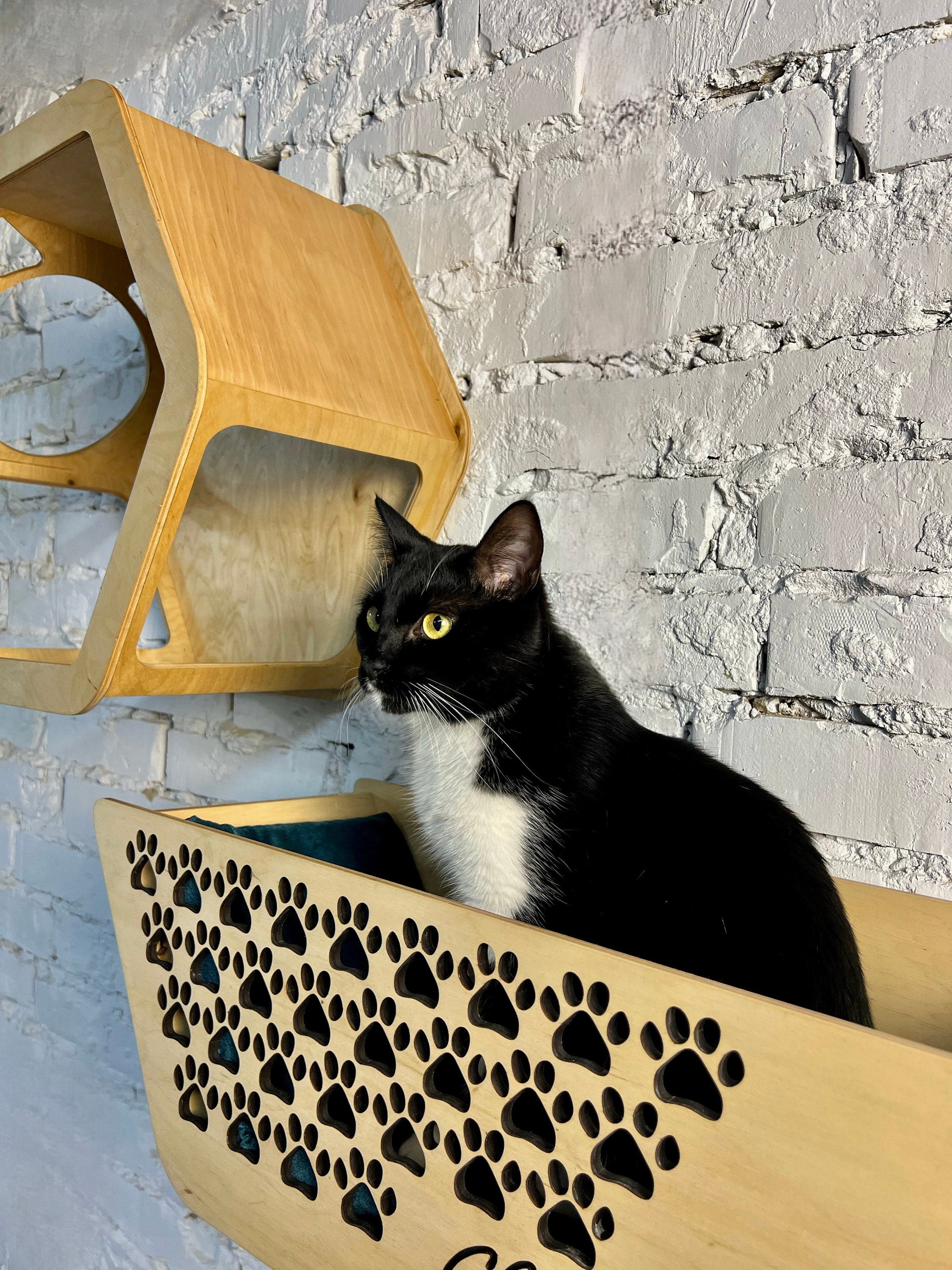 Cat Wall House, Cat Bed, Cat Wall Shelves, Cat Furniture Etsy