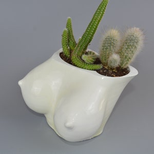 Plant pot breast minimalist indoor