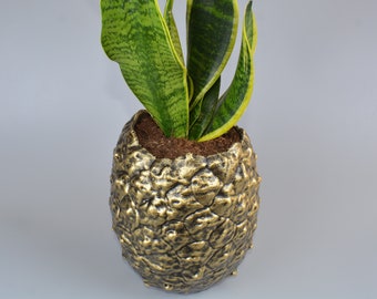 Plant pot pineapple minimalist indoor