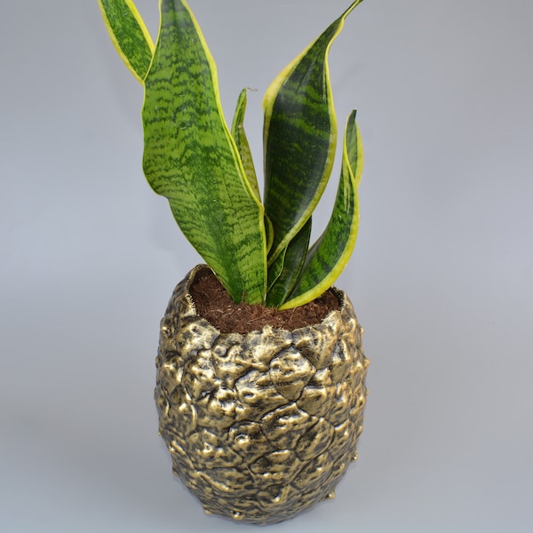 Pflanztopf Ananas minimalistisch innen