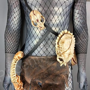 May include: A black leather belt with three bone-colored skulls attached. The skulls are different shapes and sizes. The belt is worn over a black mesh shirt.