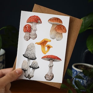 de voeux de champignons britanniques | Agaric de mouche champignon vénéneux en quête de nourriture | Aquarelle | Cartes de remerciement, cartes d'anniversaire, toutes les occasions