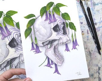 May include: Watercolor illustration of a skull with purple trumpet flowers and green leaves. The skull is white with dark eye sockets and an open jaw. The flowers hang down from the top of the skull.