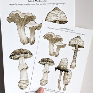 Shaggy Inkcap Mushroom Print: Dark Cottagecore Foraging Art