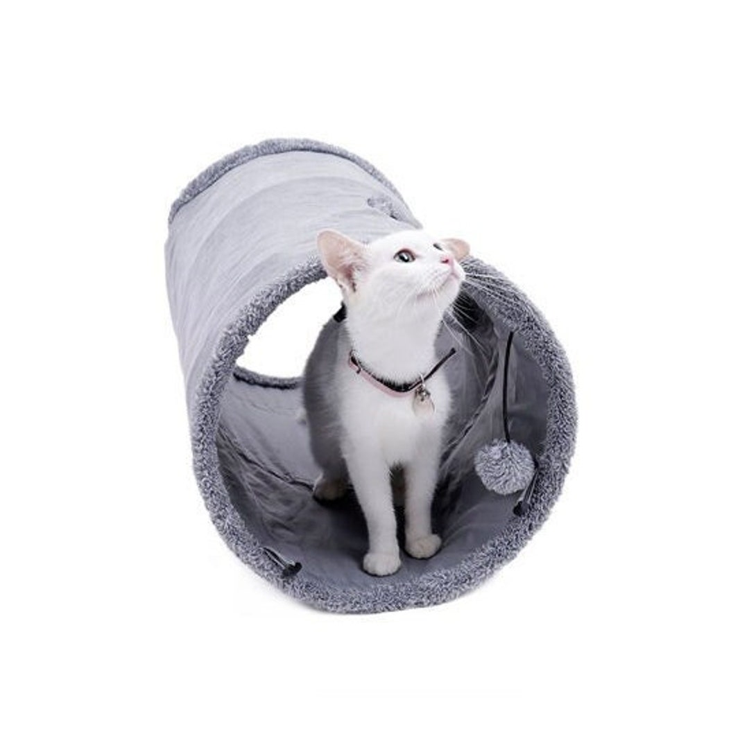 grey cat tunnel