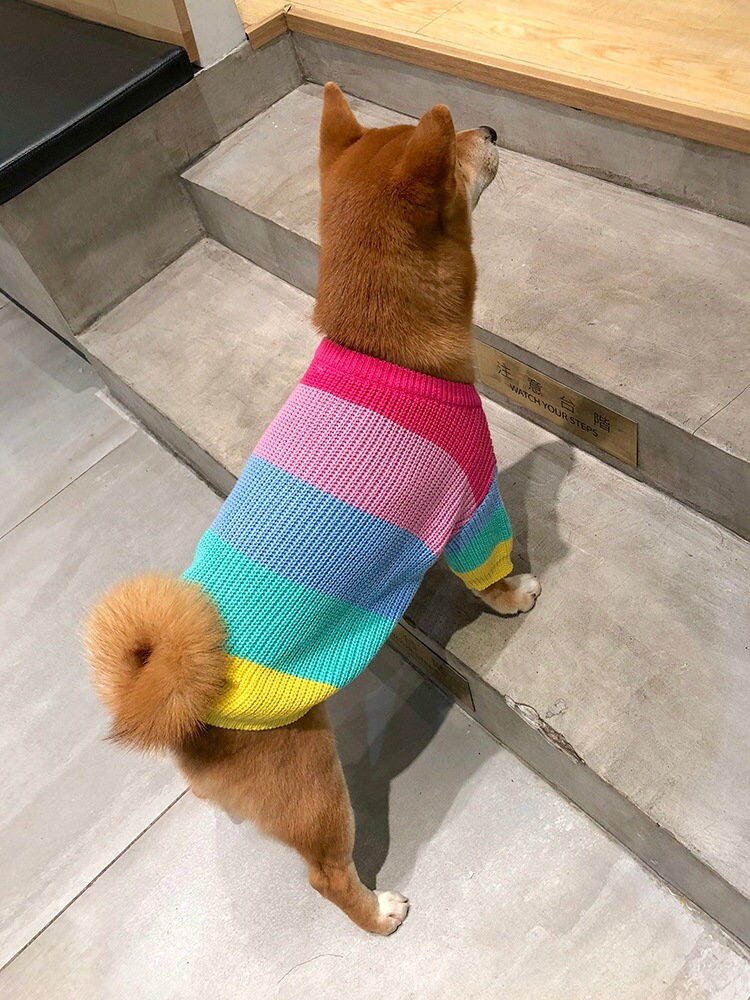 Rainbow Dog Sweater Clothes Dog Cat Sweatshirt for Small Etsy
