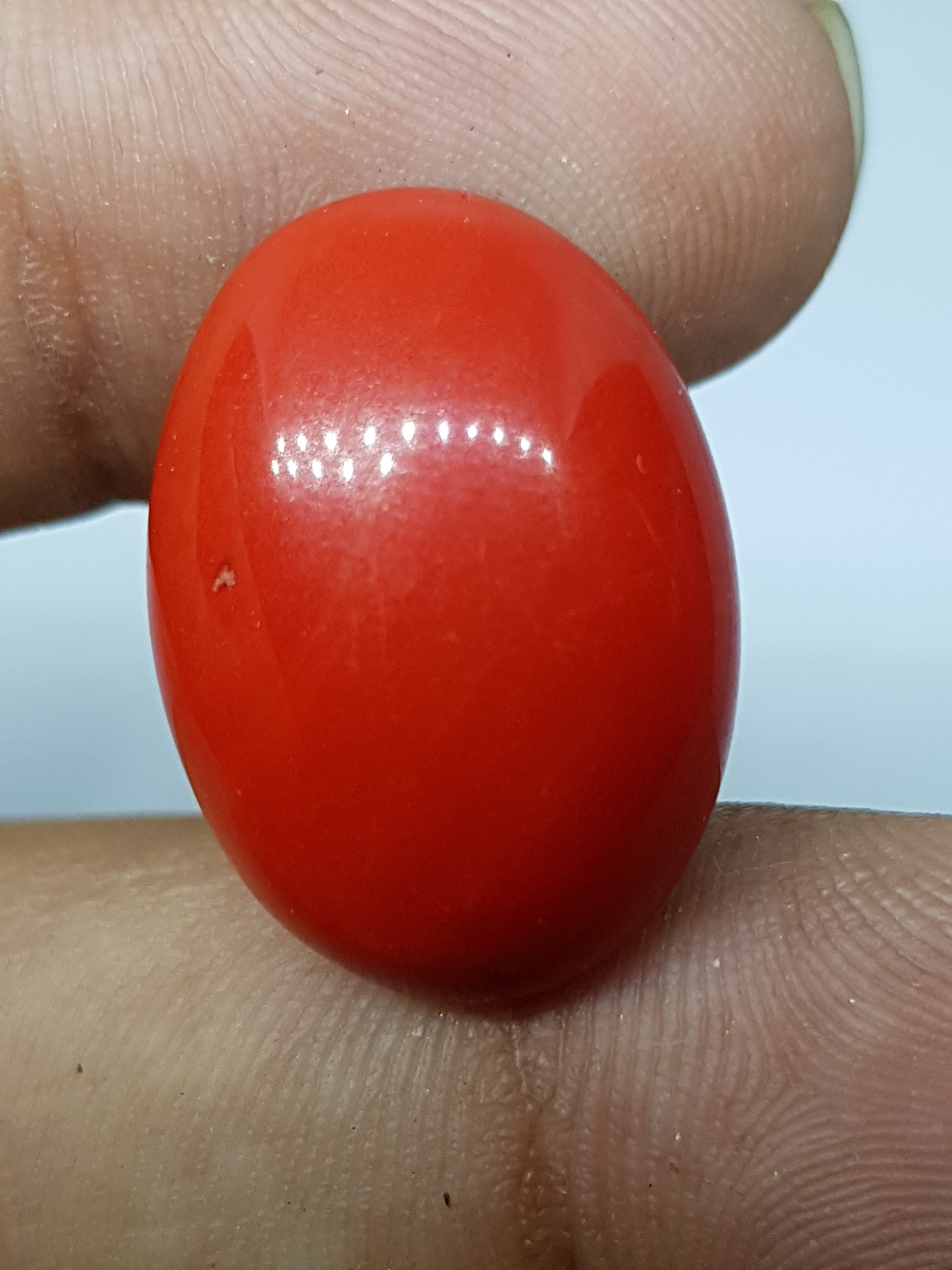 Red Coral Gemstone / Oval Cabochon Stone / Loose Gemstone / Etsy