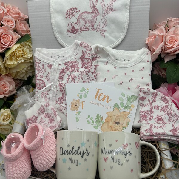 Baby Girl Hamper Baskets Etsy UK