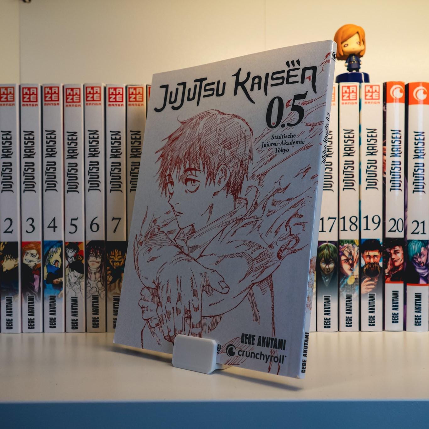 Manga Book Display Case New Zealand