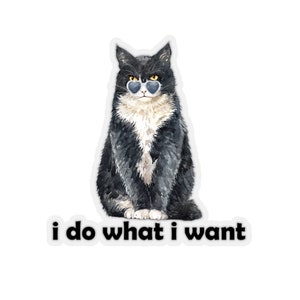 I do What i Want Cat Stickers, Sarcasm Stickers, Cat Lover Stickers, Funny Stickers, Gifts, Laptop Stickers, White Transparent Stickers