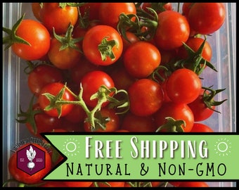 3,000 Sweetie Cherry Tomato Seeds | Heirloom, Non-GMO, Vegetable Gardening Seed Packet, Homesteading, Salad Tomatoes, Solanum lycopersicum