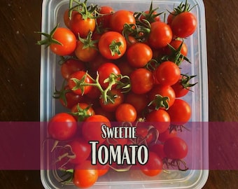 3,000 Sweetie Cherry Tomato Seeds | Vegetable Gardening Seed Packet, Homesteading, Solanum lycopersicum