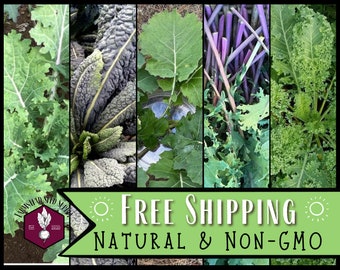 21 Variety Organic Non-GMO Heirloom Vegetable Seeds - Emergency Survival Garden Kit 3 thumbnail image