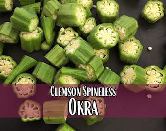 600 Okra Seeds (Clemson Spineless) | Heirloom, Non-GMO, Vegetable Garden Seed Packet, Seeds for Southern Hot Climate, Abelmoschus esculentus