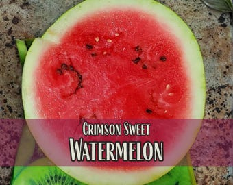 375 Watermelon Seeds (Crimson Sweet) | Gardening Fruit Seed Packet, Homesteading Gardens, Citrullus lanatus