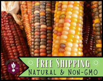 200 Indian Ornamental Corn Seeds | Heirloom, Non-GMO, Vegetable Gardening Seed Packet for Survival Homesteading & Gardeners, Zea mays