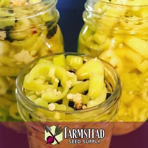 1,600 Sweet Banana Pepper Seeds | Heirloom, Non-GMO, Vegetable Gardening Seed Packet, Peppers for Canning & Pickling, Capsicum annuum image 2